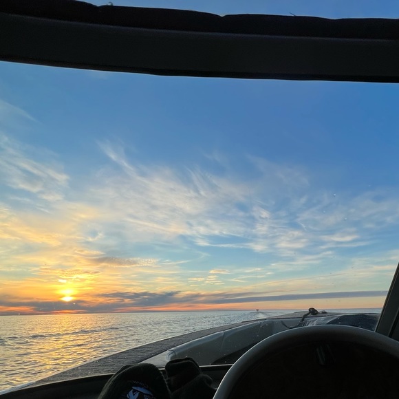 Meet your Posher, Edyn - Picture 1 of 1